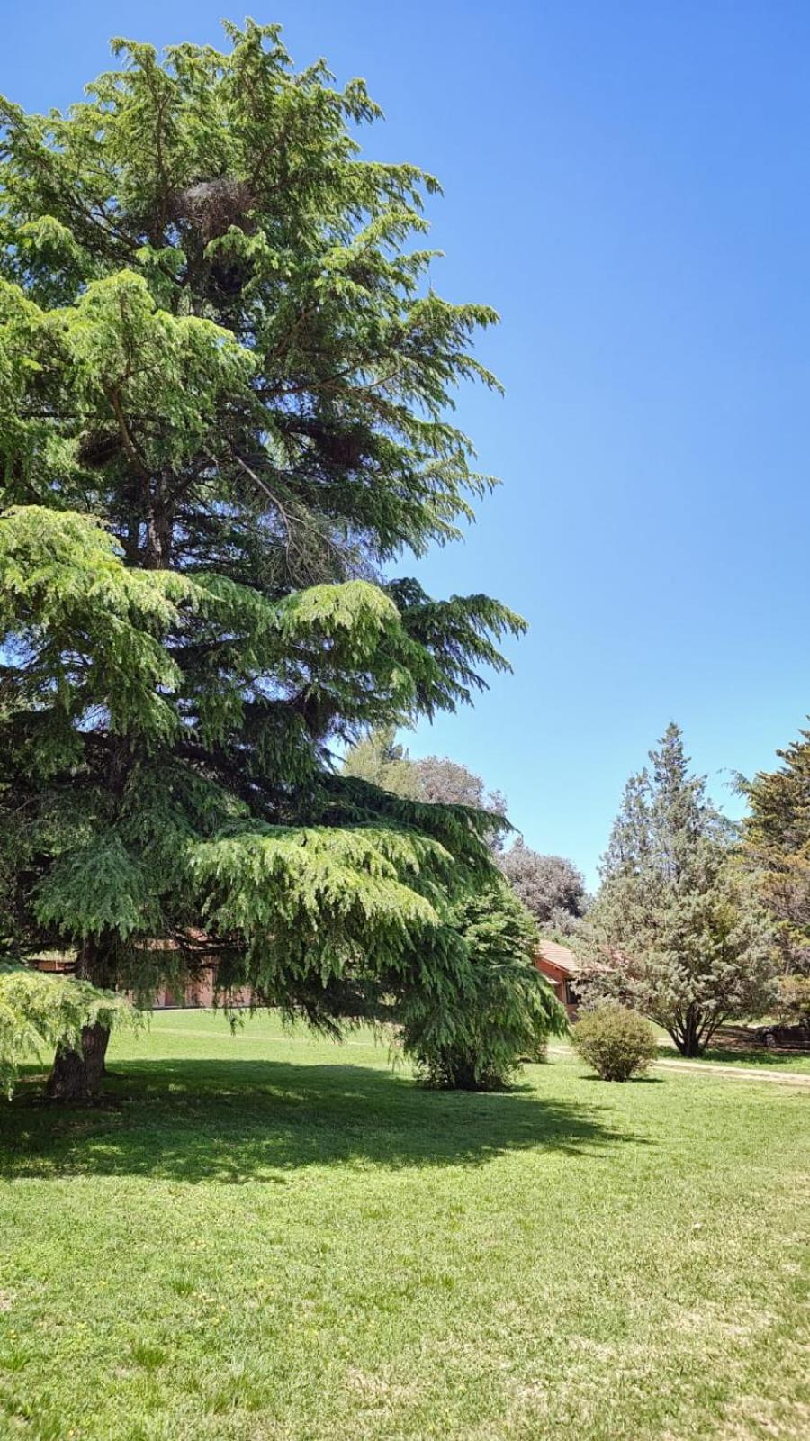 Green House Villa General Belgrano Dış mekan fotoğraf